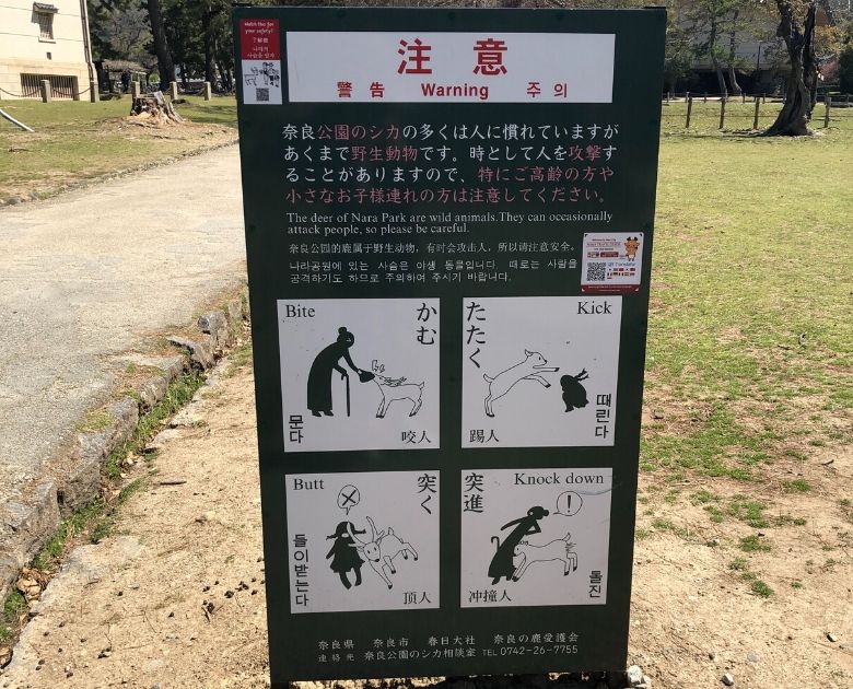 Nara Warning Sign I Was Attacked By Bambi Breeze Travel Guide