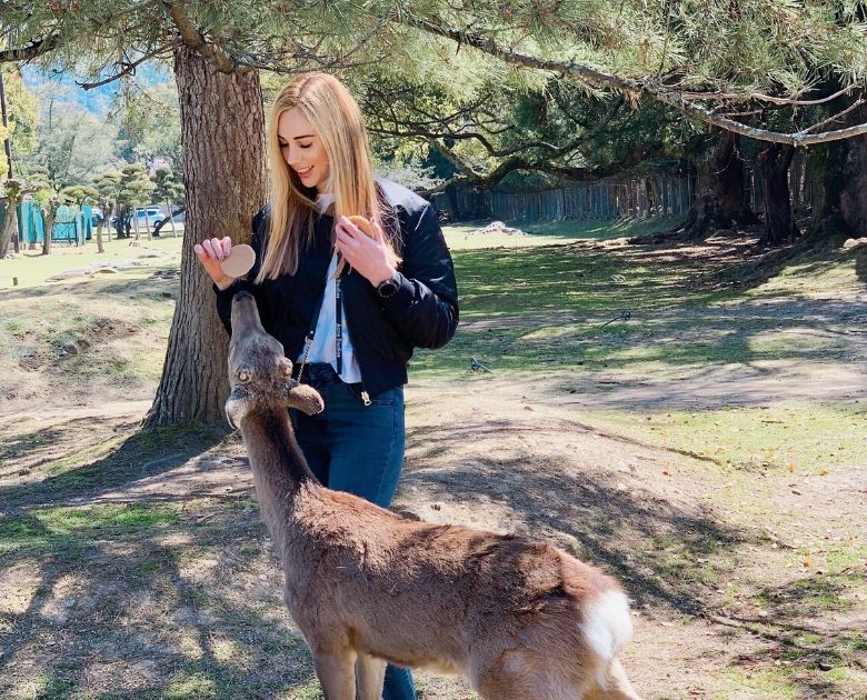 A Day Trip To Nara Breeze Travel Guide Bree